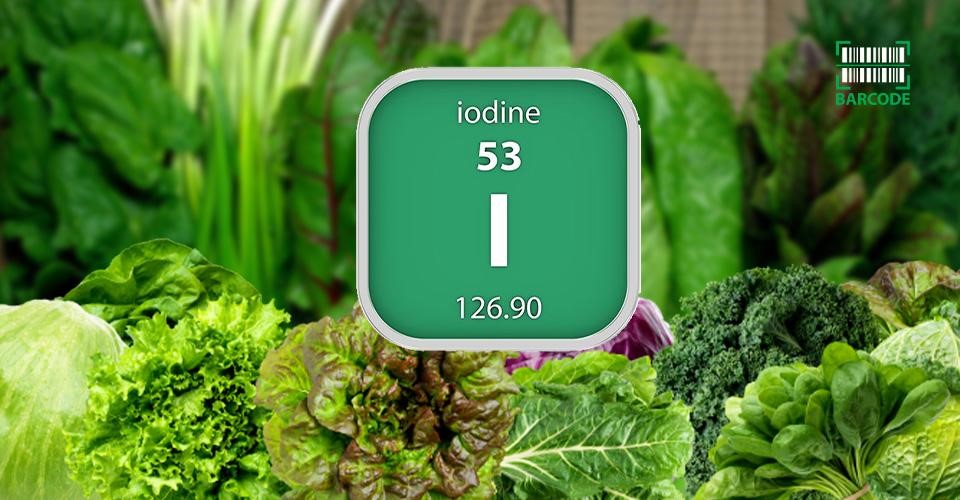 7 Best Vegan Sources of Iodine For Vegetarians